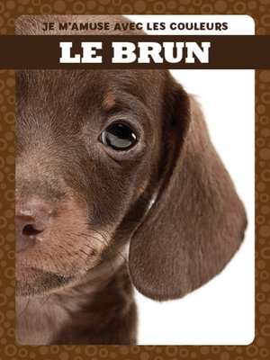 cover image of Le brun (Brown)